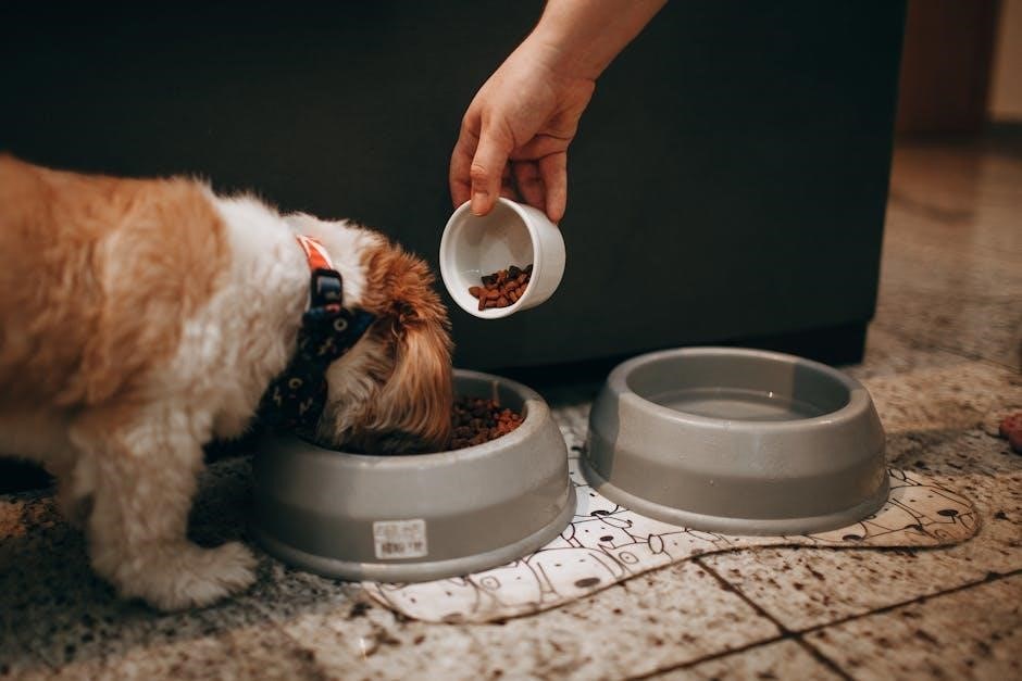 beta puppy food feeding guide