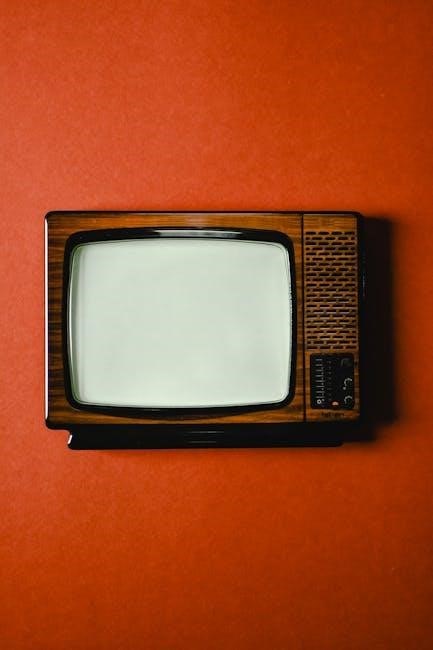 tv guide kissimmee